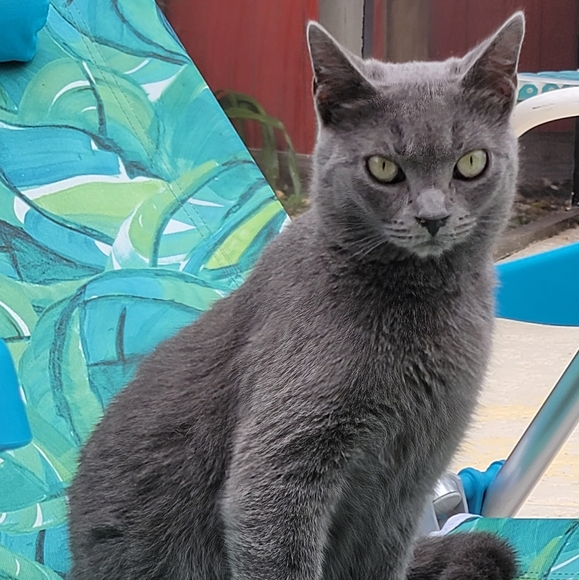 Meet your Posher, Marcela - Picture 2 of 2